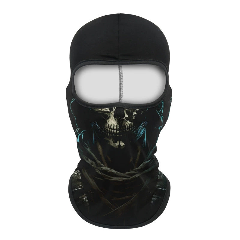 Ski Mask