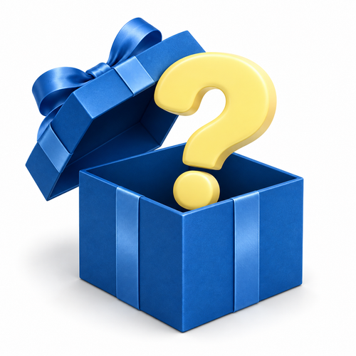 +Christmas Mystery Box